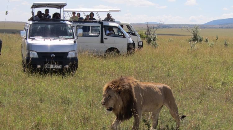 4-days-masai-mara-and-lake-nakuru-budget-travel-tour - Copy