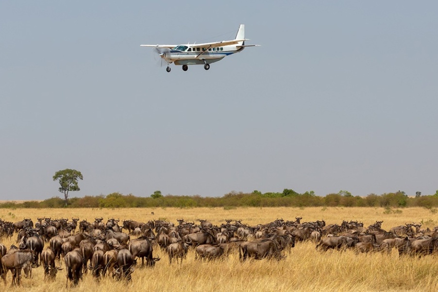 Mara-air-safari-packages - Copy